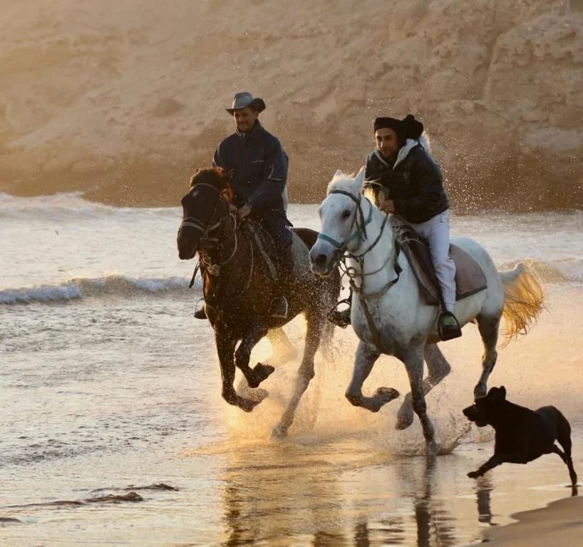 Two horse riders beside the water in warm sunlight